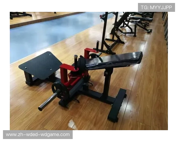 提臀效果显著的健身器材推荐与训练方式