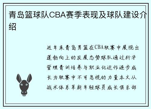 青岛篮球队CBA赛季表现及球队建设介绍